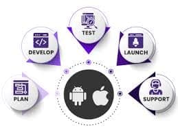 Our Services